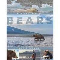 For The Love Of Bears