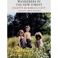 Wanderers in the New Forest