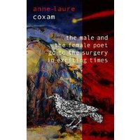 The Male and the Female Poet Go to the Surgery in Exciting Times