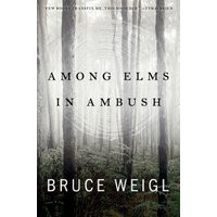 Among Elms, in Ambush