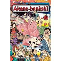 Akane-Banashi. Vol. 12