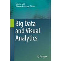 Big Data and Visual Analytics