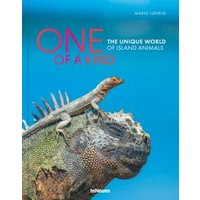 One of a Kind