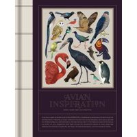 Avian Inspiration