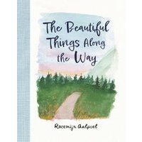 The Beautiful Things Along the Way