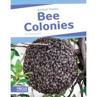 Bee Colonies