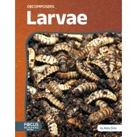 Larvae
