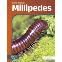 Millipedes