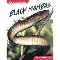 Black Mambas. Hardcover