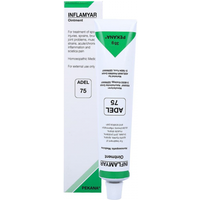 ADEL - 75 Pain Relief Ointment - 35 G