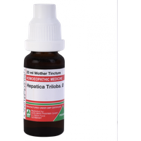 ADEL Hepatica Triloba Mother Tincture Q - 20 ml