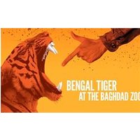 Bengal Tiger at the Baghdad Zoo
