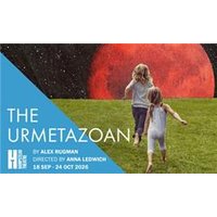 The Urmetazoan