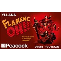 Theatre Tickets Direct Enjoy 26% Off Flamenc Oh Performance