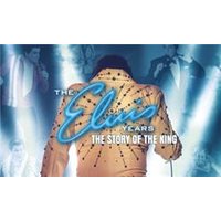 The Elvis Years