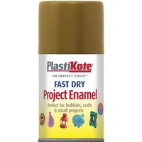Plastikote, Plastikote Dry Enamel Aerosol Spray Paint Anitque Gold 100ml Plastikote, Plastikote Dry Enamel Aerosol Spray Paint Anitque Gold 100ml