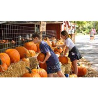 Pumpkin Fest At Shepherd of the Hills