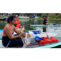 Paddle with Pups in Paradise