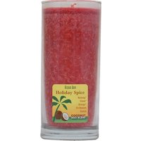 Aloha Jar Coconut Wax Blend Candle with Pure Essential Oils, Holiday Spice, 11 oz, Aloha Bay
