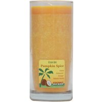 Aloha Jar Coconut Wax Blend Candle with Pure Essential Oils, Pumpkin Spice, 11 oz, Aloha Bay