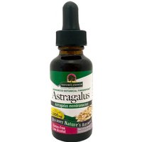 Astragalus Root Extract Liquid 1 oz from Natures Answer