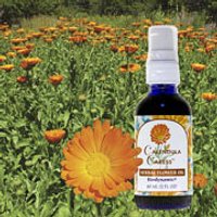 Calendula Caress, Herbal Flower Oil, 4 oz, Flower Essence Services