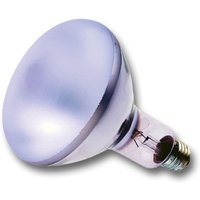 Chromalux Light Bulb Frosted Reflector R30 - 72W, 1 Bulb, Lumiram