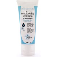 Deep Conditioning Shampoo, Olive & Avocado, 2 oz Travel Size, Earth Science
