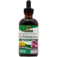Echinacea Alcohol Free Extract Liquid 4 oz from Natures Answer
