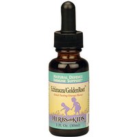 Echinacea/GoldenRoot, Orange Flavor Alcohol-Free 2 oz from Herbs For Kids