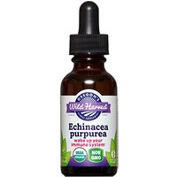 Echinacea Purpurea Liquid Extract, Organic, 1 oz, Oregons Wild Harvest