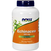 Echinacea Root 400 mg, Value Size, 250 Capsules, NOW Foods