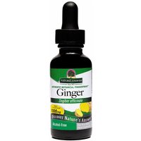 Ginger Root Alcohol Free Extract Liquid 1 oz from Natures Answer