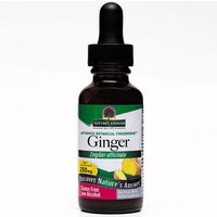 Ginger Root Extract Liquid 1 oz from Natures Answer
