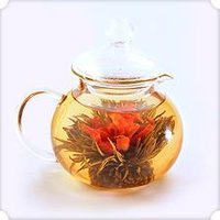Glass Teapot - Teahouse, 14 oz (420 ml), Numi Tea