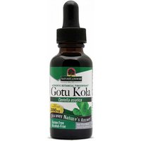 Gotu Kola Herb Extract Liquid Alcohol-Free, 1 oz, Natures Answer