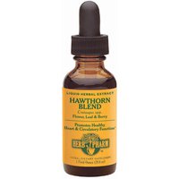 Hawthorn Blend Extract Liquid, 4 oz, Herb Pharm