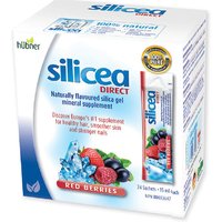 Hubner Silicea Direct Silica Gel, Red Berries, 24 Sachets, Naka Herbs & Vitamins Ltd