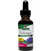 Hydrangea Root Extract Liquid 1 oz from Natures Answer