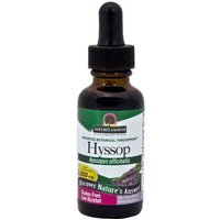 Hyssop Herb Extract Liquid 1 oz from Natures Answer