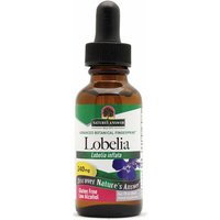 Lobelia Herb Extract (Lobelia Inflata) Liquid 1 oz from Natures Answer
