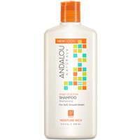 Argan Oil & Shea Moisture Rich Shampoo, 11.5 oz, Andalou Naturals