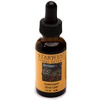 Olive Leaf Extract Liquid 1 oz Organic, StarWest Botanicals