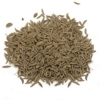 Organic Caraway Seed 1 lb, StarWest Botanicals