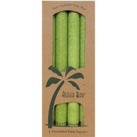 Palm Tapers 9 Inch, Unscented, Melon, 4 Candles, Aloha Bay