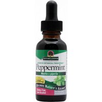 Peppermint Herb Extract Liquid 1 oz from Natures Answer