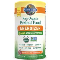 Raw Organic Perfect Food Energizer, Juiced Green Superfood Powder, 9.73 oz (276 g), Garden of Life