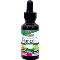 Plantain Leaf Extract Liquid 1 oz from Natures Answer