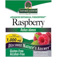 Raspberry Leaf Alcohol Free Extract Liquid 1 oz from Natures Answer