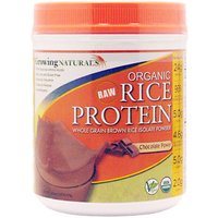 Rice Protein Powder - Chocolate, 1 lb, Growing Naturals